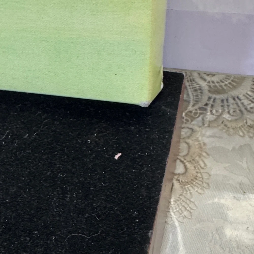 Hobby Lobby adorable canvas